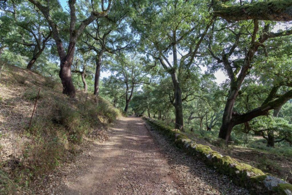Finca Montemateo Navahermosa  Esterno foto